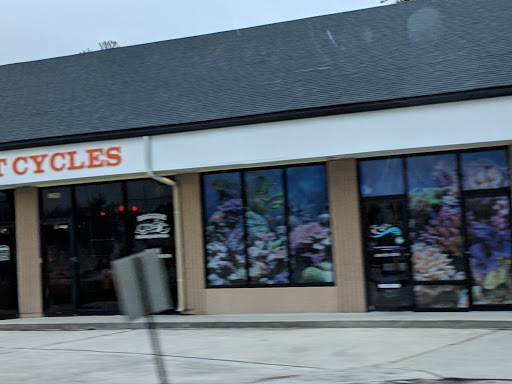 Pet Store «Mandarin SeaLife», reviews and photos, 9633 Old St Augustine Rd #2, Jacksonville, FL 32257, USA