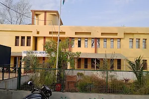 GOVT. THAKUR SHOBHA SINGH COLLEGE PATHALGAON image