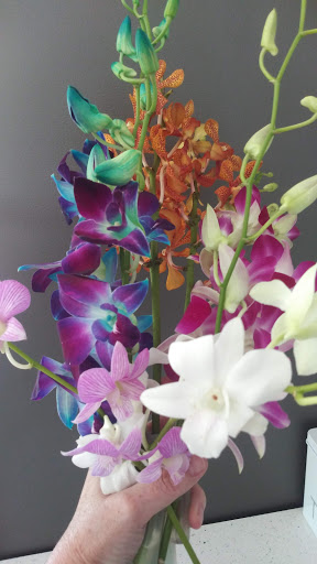 Florist «Thai-Rific Orchids Inc», reviews and photos, 5313 Gulfport Blvd S, Gulfport, FL 33707, USA