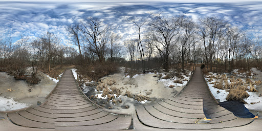 Nature Preserve «Dolan Pond Conservation Area», reviews and photos, Webster Park, West Newton, MA 02465, USA