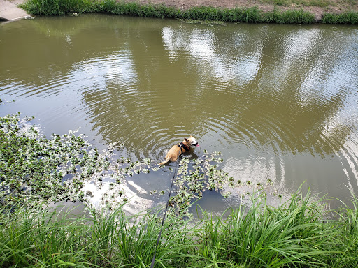 Park «Mike Lewis Park», reviews and photos, 2410 N Carrier Pkwy, Grand Prairie, TX 75050, USA