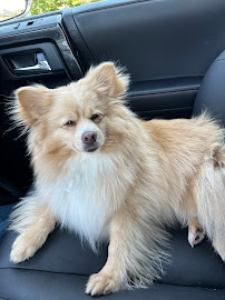 Pack&Pride - Photo 2 - Car repair in , Raleigh