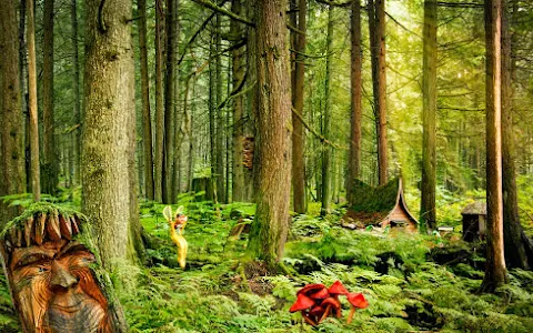The Enchanted Forest image