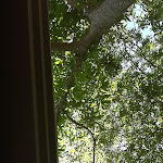 Photo n°1 de l'avis de Domenico.i fait le 15/07/2019 à 07:39 sur le  Il Rifugio à Tramonti