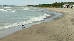 Foto af Port Stanley Main Beach med turkis vand overflade