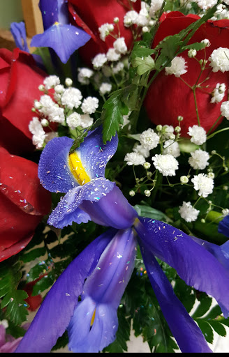 Florist «Family Florist & Gifts», reviews and photos, 1 Old Wolfe Rd, Budd Lake, NJ 07828, USA