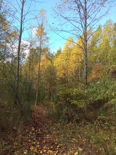 Nature Preserve «Sadsbury Woods Preserve», reviews and photos, Ramblewood Dr & Northwood Dr, Coatesville, PA 19320, USA