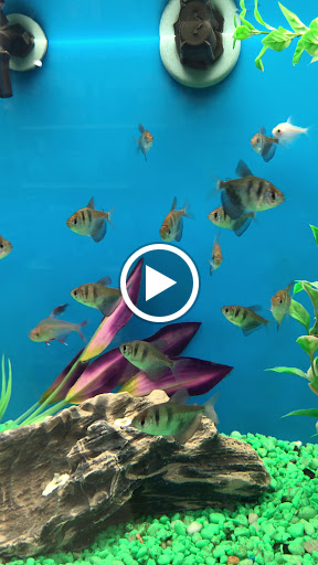 Pet Supply Store «PetSmart», reviews and photos, 24 Countryside Plaza, Countryside, IL 60525, USA