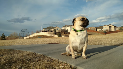 Park «Stetson Park», reviews and photos, 4870 Jedediah Smith Rd, Colorado Springs, CO 80922, USA