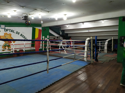 Women's boxing lessons Santa Cruz