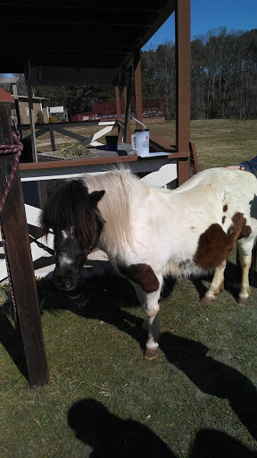 Wedding Venue «Rancho Alegre Farm», reviews and photos, 2225 Givens Rd, Dacula, GA 30019, USA