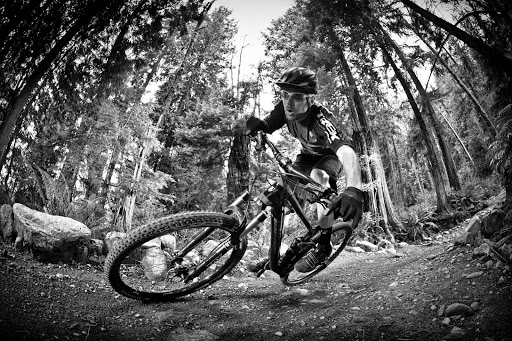 Bicycle Store «Atlanta Cycling - Ansley», reviews and photos, 1860 Piedmont Ave NE, Atlanta, GA 30324, USA