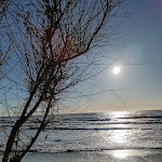 Photo n°2 de l'avis de Andrea. fait le 19/12/2023 à 09:25 sur le  Tinga Beach & Risto à Torvaianica