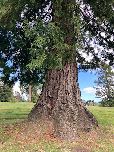 Cemetery «Sunset View Cemetery & Mortuary», reviews and photos, 101 Colusa Ave, El Cerrito, CA 94530, USA