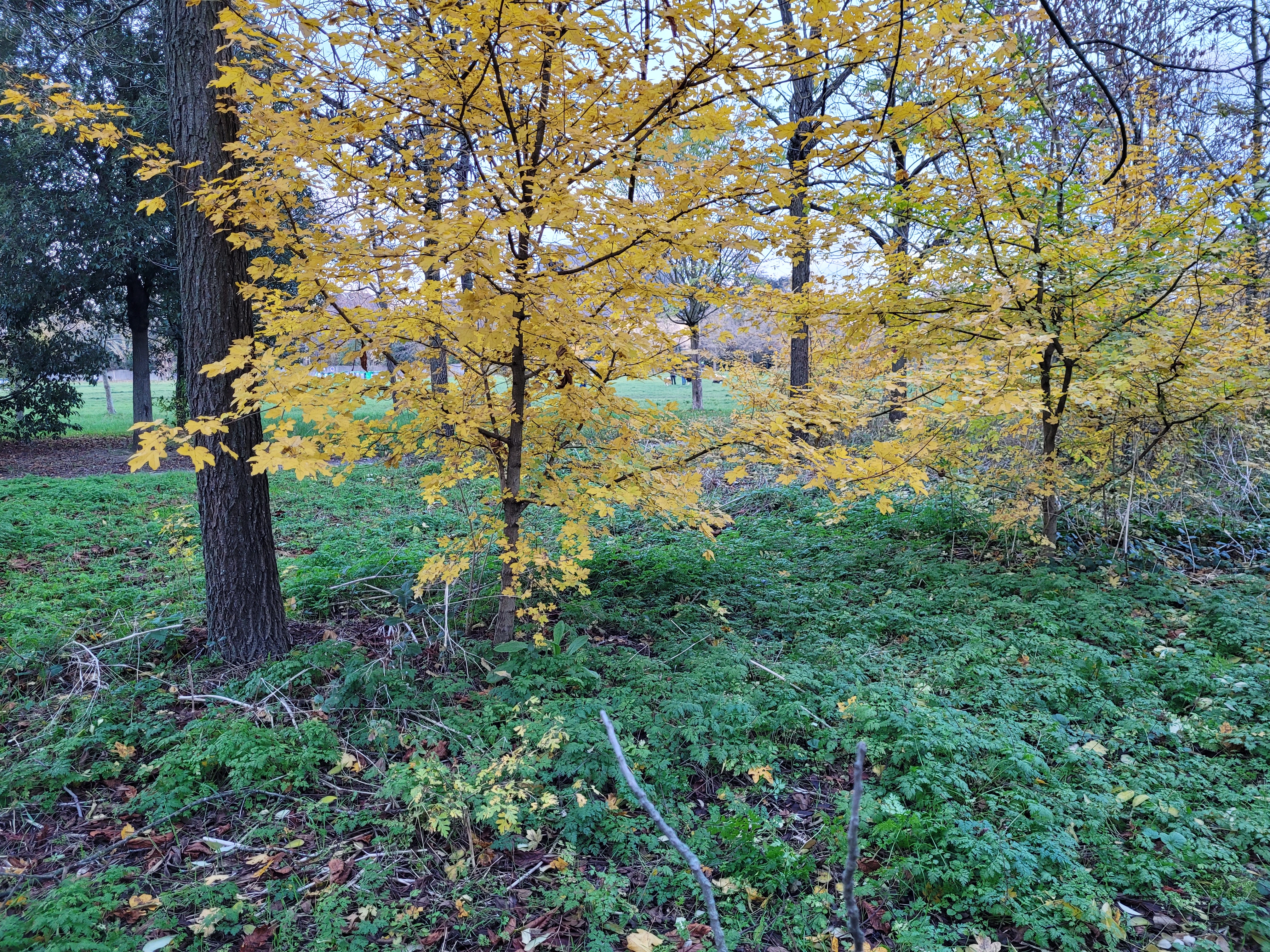 Photo n° 24 de l'avis de ernest.o fait le 17/08/2018 à 17:20