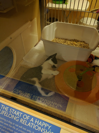 Pet Supply Store «PetSmart», reviews and photos, 1275 N Military Hwy, Norfolk, VA 23502, USA