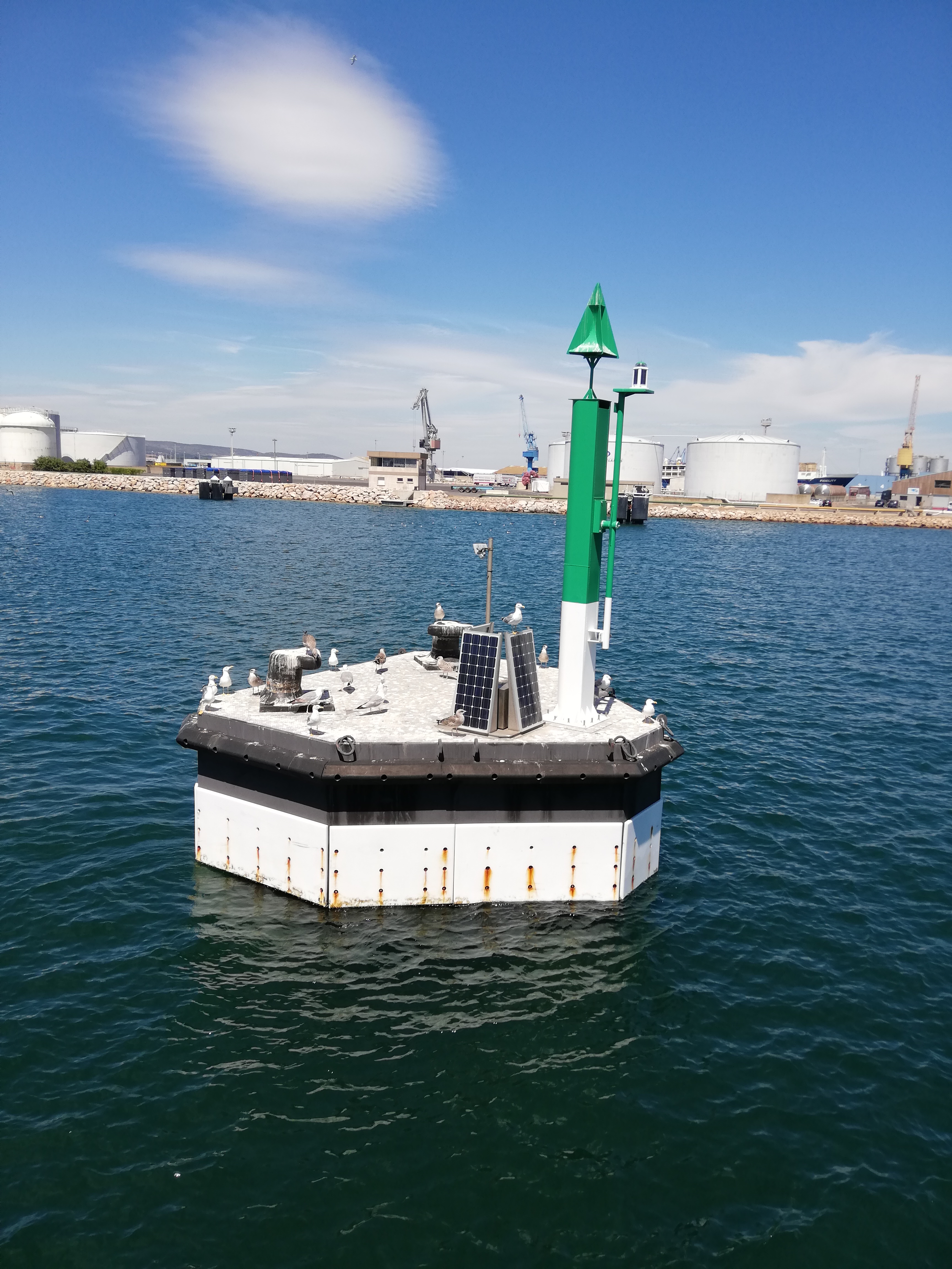 Photo n° 5 de l'avis de Schout.a fait le 15/07/2019 à 09:52