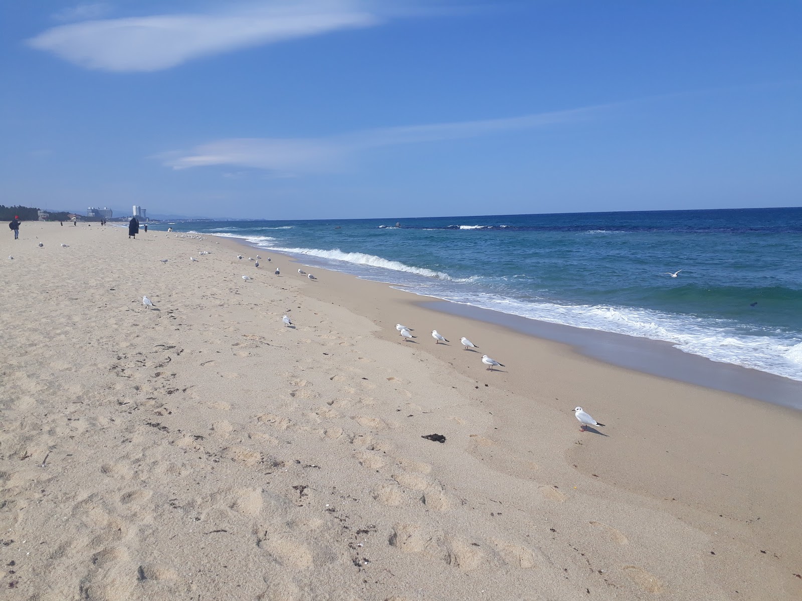 Songjeong Beach的照片 - 受到放松专家欢迎的热门地点