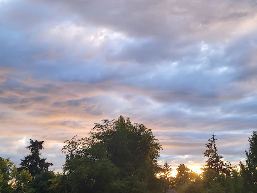 Park «Washburne Park», reviews and photos, E 21st Ave & Agate Street, Eugene, OR 97403, USA