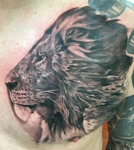 Explore tattoo ideas dolphin, creative tattoo ideas in Wallingford, available at Tattoolios Tattoo Emporium