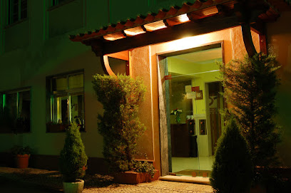 A Moderna - Restaurante e Alojamento - Avenida Dr. Aurélio Gonçalves Caldas da Felgueira, 3525-202, Portugal