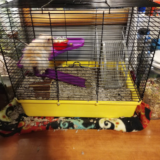 Pet Supply Store «PetSmart», reviews and photos, 8014 Old Carriage Ct, Shakopee, MN 55379, USA