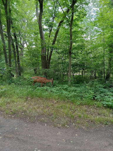 Trail Parking and Picnic Area