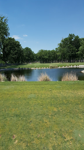 Golf Course «Dundee Golf Club», reviews and photos, 13851 S Custer Rd, Dundee, MI 48131, USA