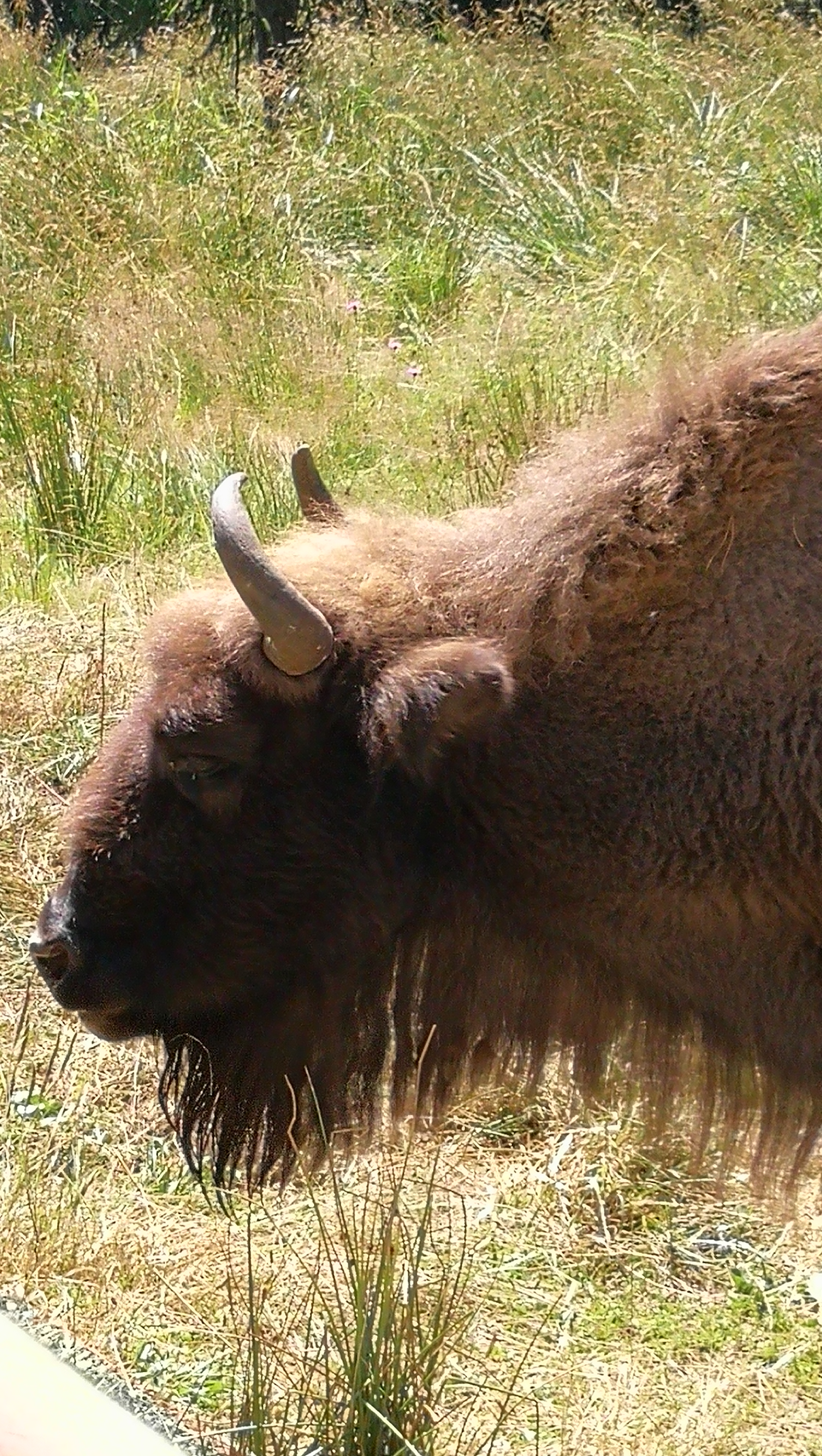 Photo n° 1 de l'avis de Pascal.A fait le 08/08/2018 à 13:26
