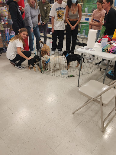 Pet Supply Store «PetSmart», reviews and photos, 1125 Hover St, Longmont, CO 80501, USA