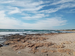 Maamoura Plage II'in fotoğrafı geniş bir kıyı şeridi ile birlikte