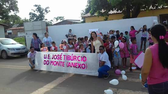 Unidade Escolar José Tibúrcio Do Monte