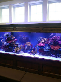 Alpha Aquatics LLC - Photo 3 - Car repair in , Idaho Falls