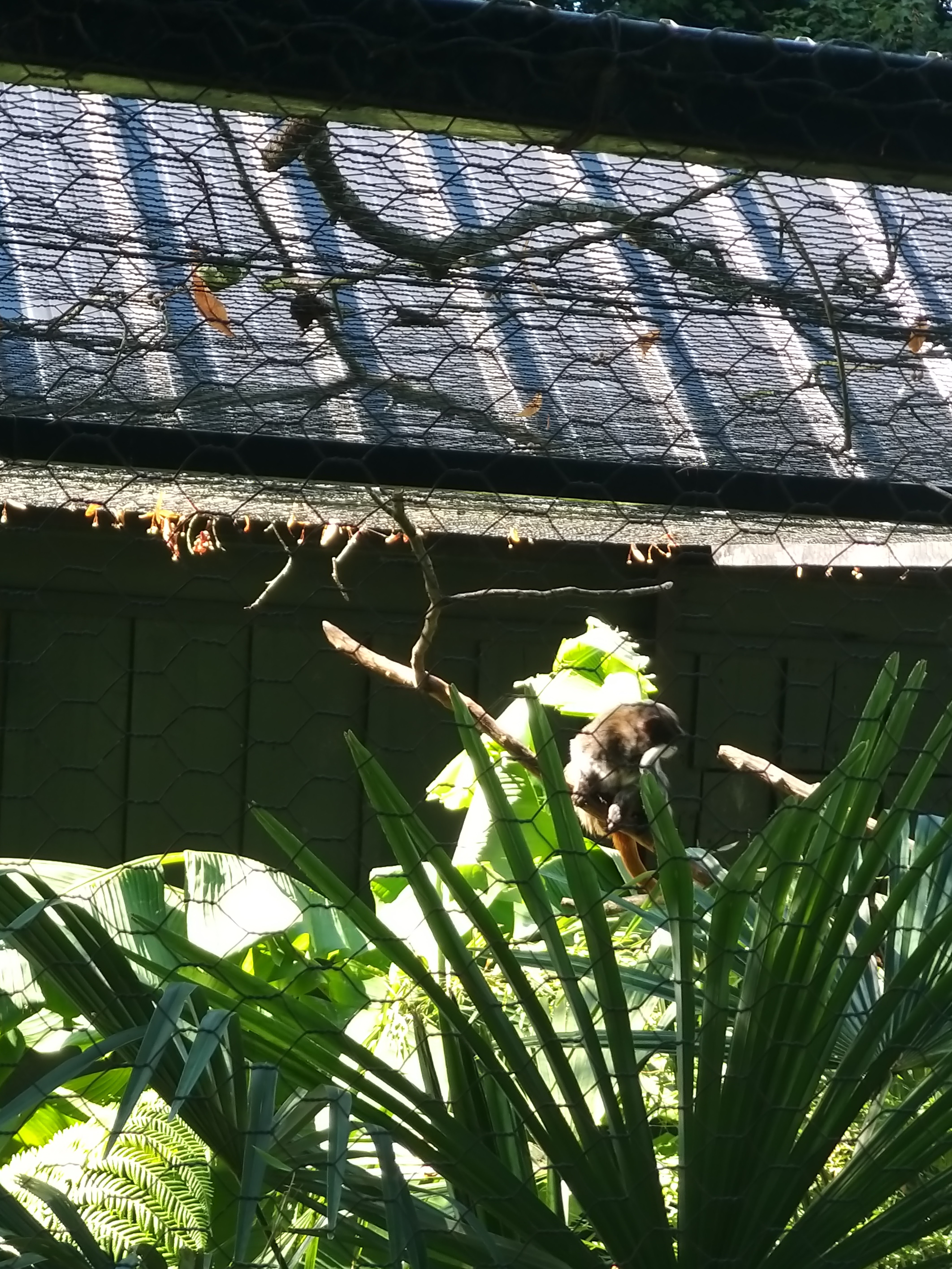 Photo n° 5 de l'avis de Angelique.a fait le 25/08/2019 à 15:14