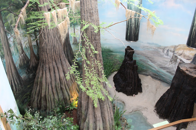 Herman Ottó Múzeum