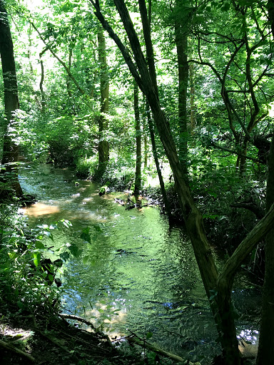 Park «A.B. Sawyer Park», reviews and photos, 9300 Whipps Mill Rd, Louisville, KY 40242, USA