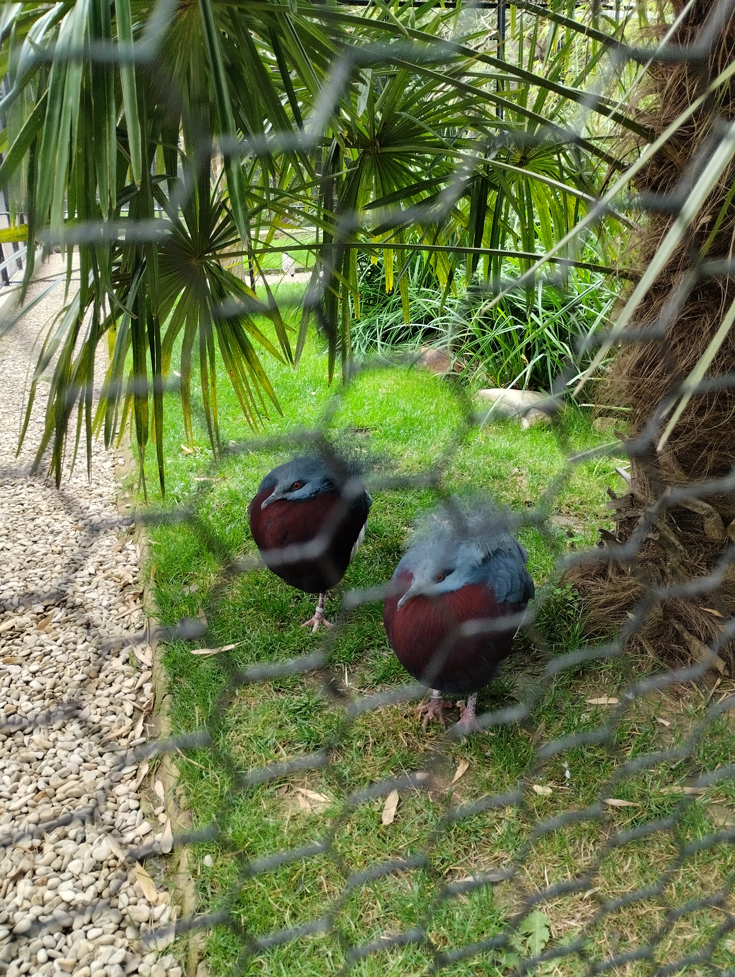 Photo n° 5 de l'avis de Christel.a fait le 04/08/2023 à 19:14