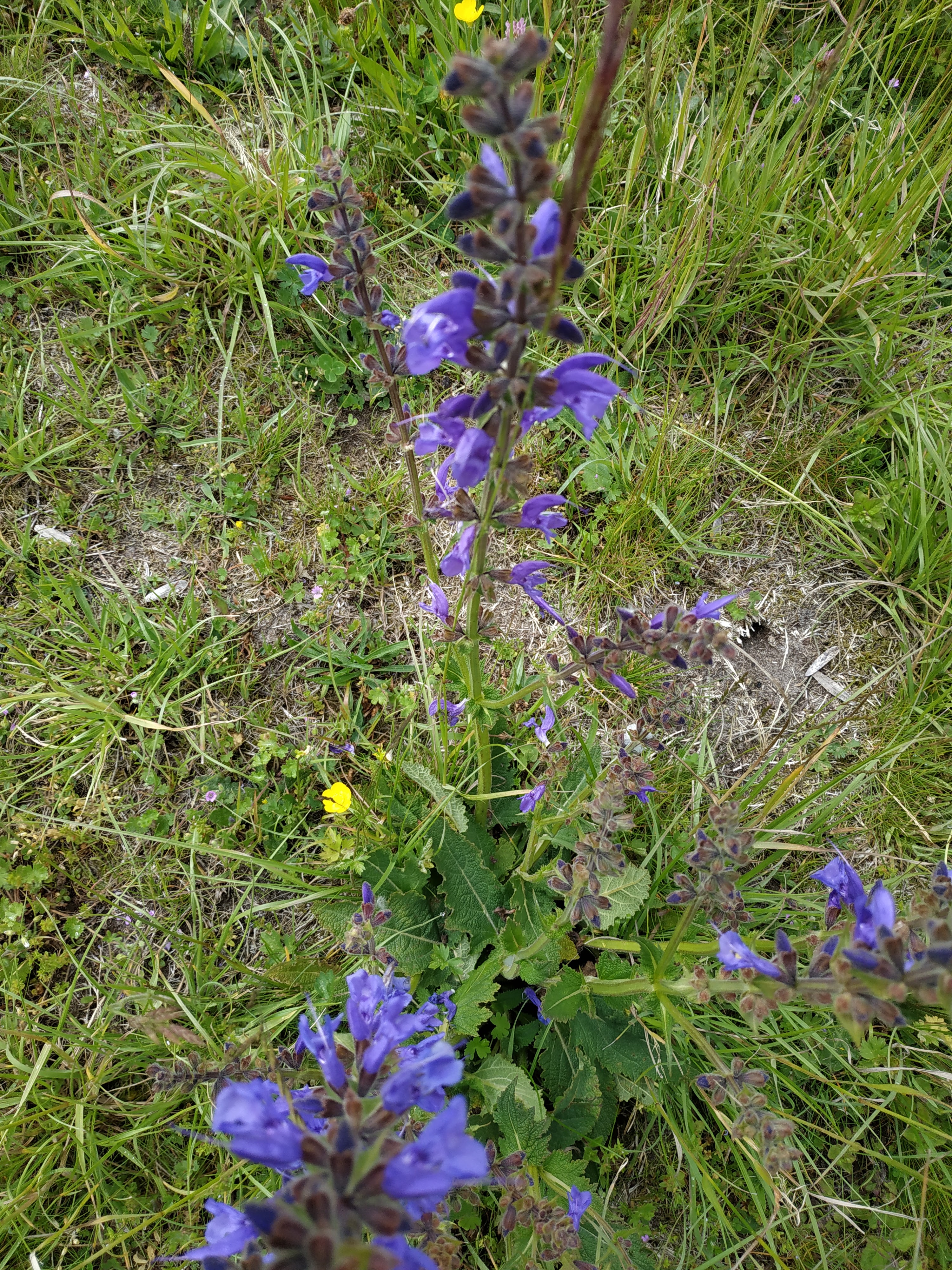 Photo n° 3 de l'avis de Christine.o fait le 15/06/2019 à 16:37