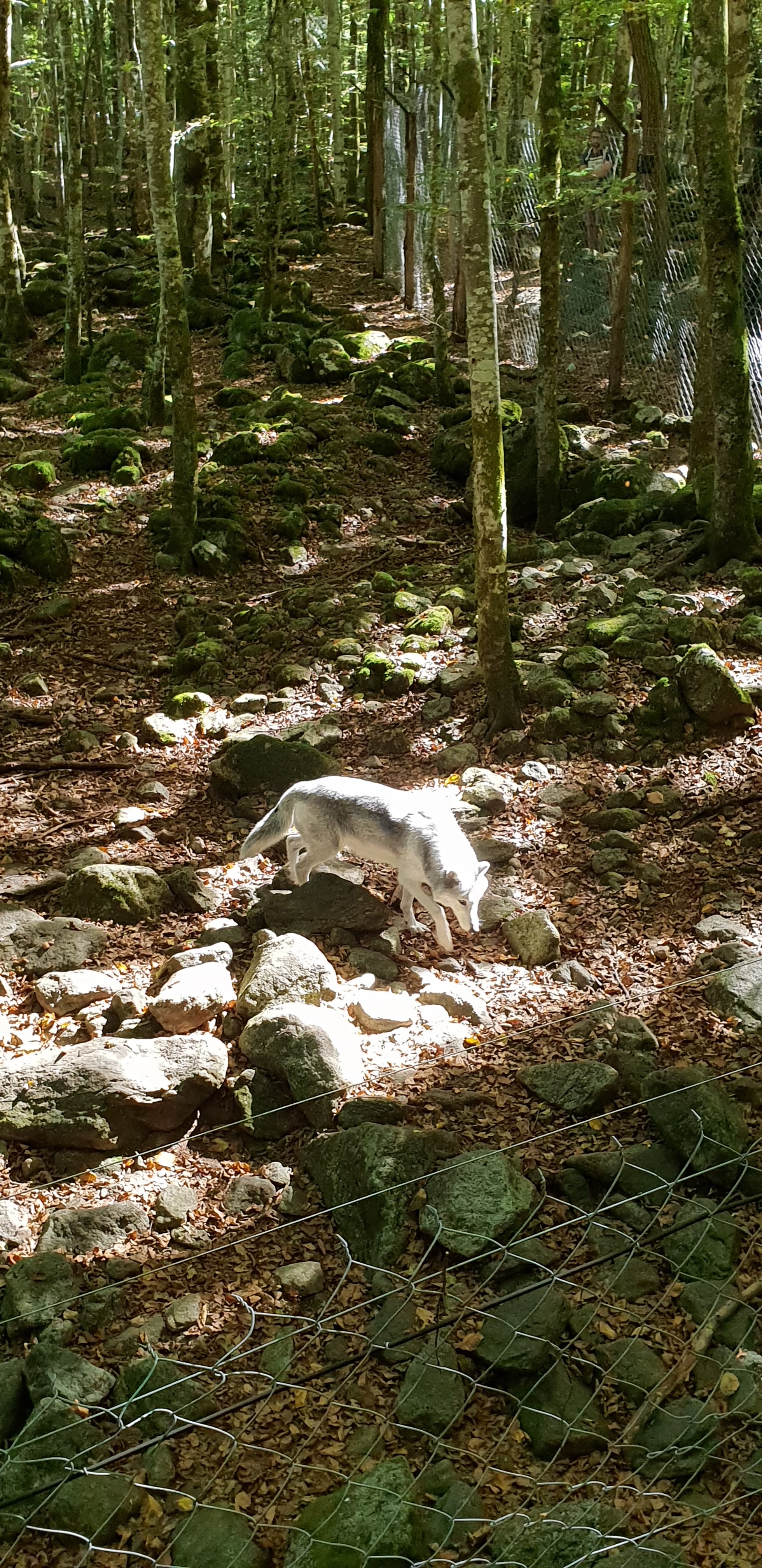 Photo n° 22 de l'avis de Christophe.e fait le 26/09/2018 à 10:29