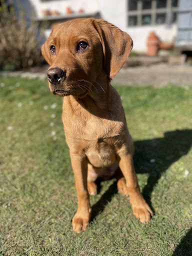 Artgerecht Tiernahrung unter Gerolstein, 