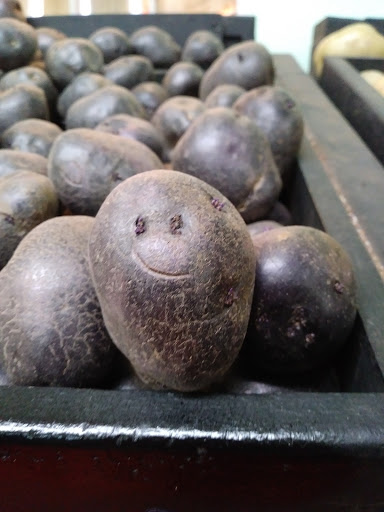 Produce Market «Chicho Boys Fruit Market», reviews and photos, 1631 S Laredo St, San Antonio, TX 78207, USA