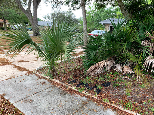 Lawn Care Service «Coastal Property Maintenance», reviews and photos, 550 Mary Esther Cut Off NW #229, Fort Walton Beach, FL 32548, USA