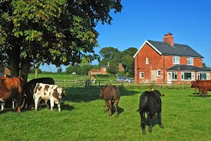 Bainvalley Cottages image