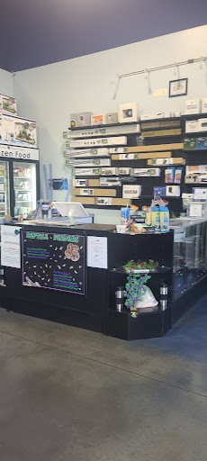 Aquarium «Artistic Aquariums, Inc», reviews and photos, 3400 N Arizona Ave #111, Chandler, AZ 85225, USA