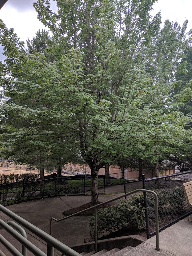 Hardware Store «Happy Valley Ace Hardware», reviews and photos, 14742 SE Sunnyside Rd, Happy Valley, OR 97015, USA