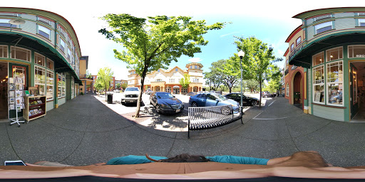 Book Store «Pages Books On the Green», reviews and photos, 920 McClelland Dr, Windsor, CA 95492, USA