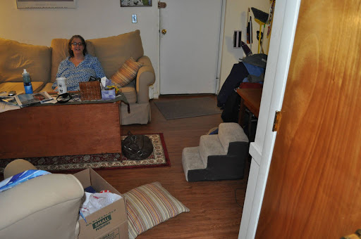 House Cleaning Service «MaidPro», reviews and photos, 455 Massachusetts Ave, Arlington, MA 02474, USA