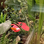 Photo n° 1 de l'avis de Franck. fait le 02/08/2023 à 17:34 pour Micropolis, la Cité des insectes à Saint-Léons