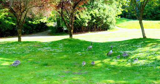 Park «Jackson Park Golf Course», reviews and photos, 1000 NE 135th St, Seattle, WA 98125, USA