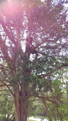 Tourist Attraction «Marengo Cave U.S. National Landmark», reviews and photos, 400 East State Rd 64, Marengo, IN 47140, USA